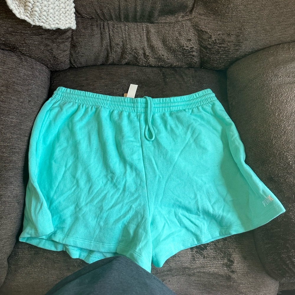 Pink brand high waist campus shorts SZ XXL NWT - Picture 2 of 4